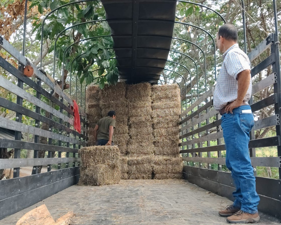 Fotografía del producto